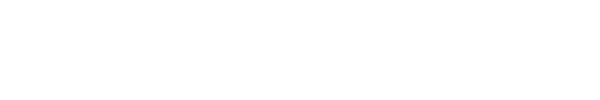 Net Pleat