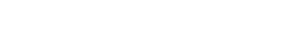 Company Profile